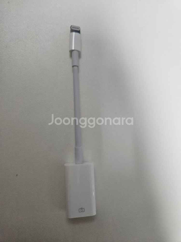 정품 애플 Lightning to camera usb--0