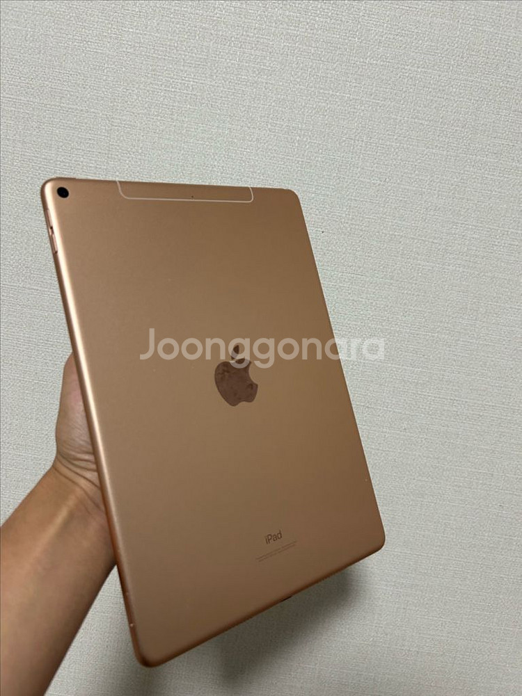 아이패드에어3 256gb 셀룰러+펜슬+케이스--3