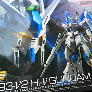 RG 하이뉴건담(택포)