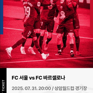 fc서울 바르셀로나 1등석