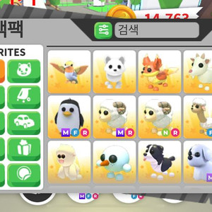 입양하세요 펫 팔아요