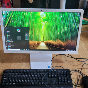 LG 일체형 PC