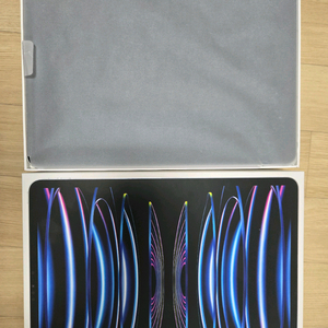 iPad Pro 12.9 (6세대) 256GB