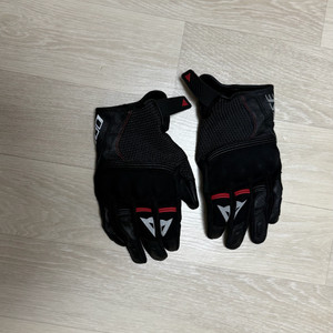 다이네즈 긴장갑 NAMIB GLOVES