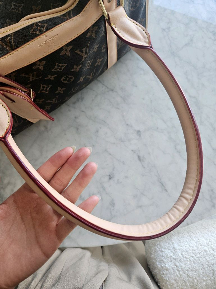 루이비통 강아지 캐리어 이미지