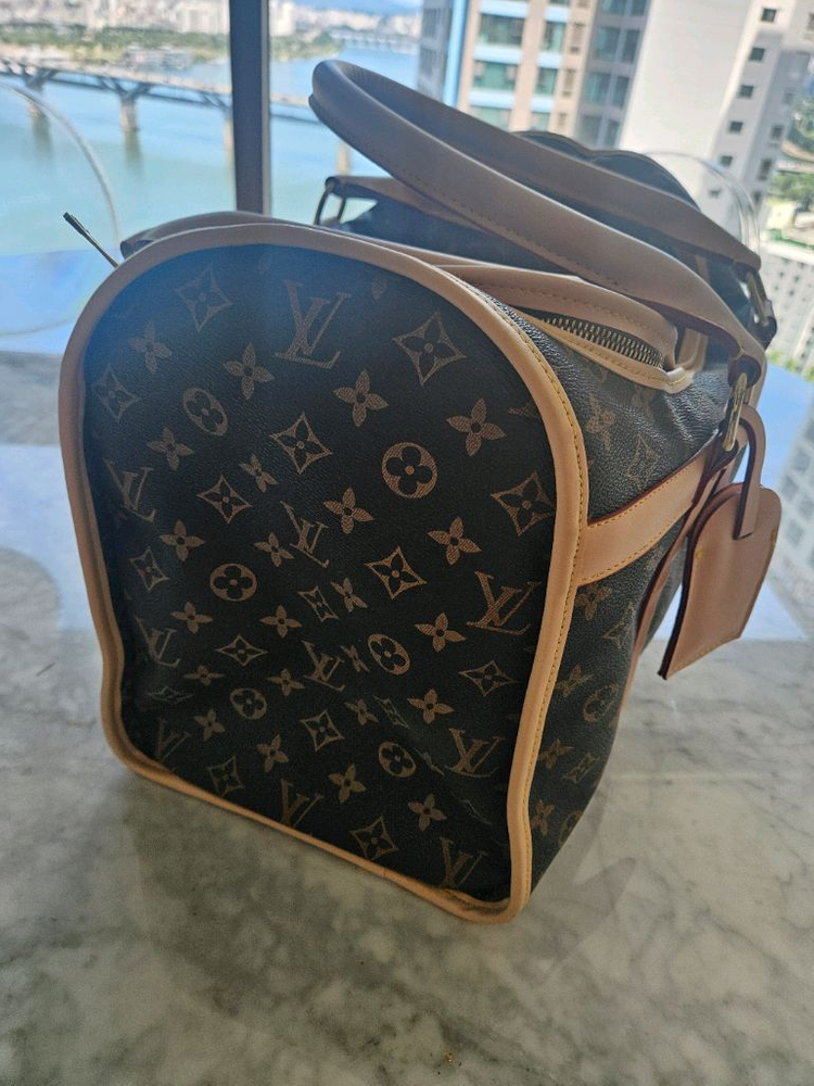 루이비통 강아지 캐리어 이미지