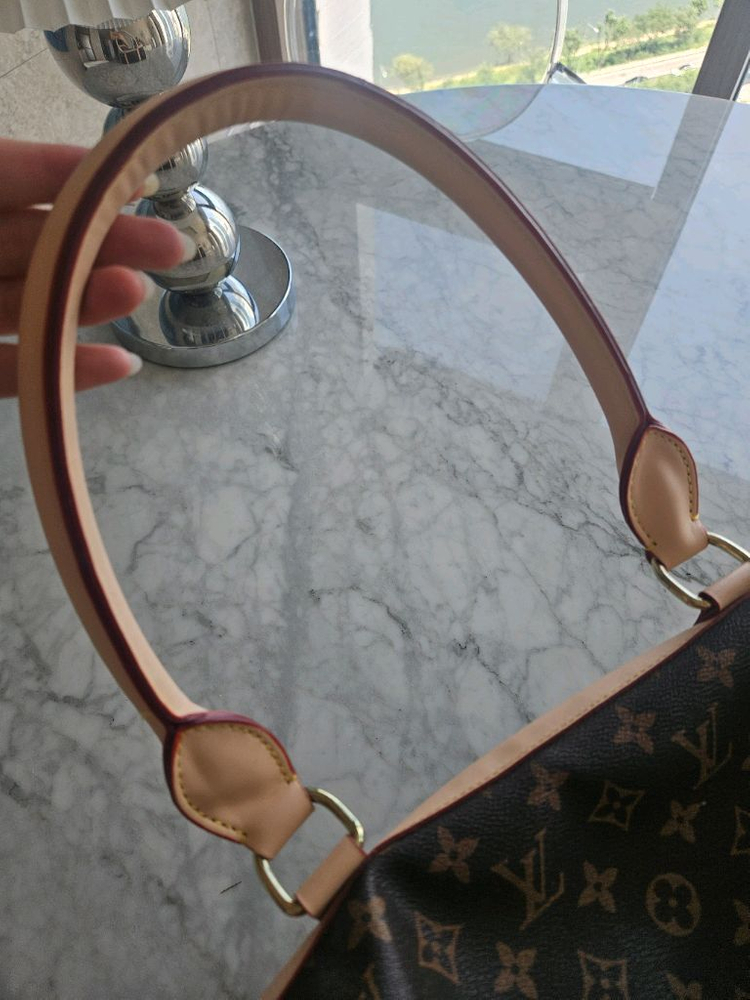 루이비통 강아지 캐리어 이미지