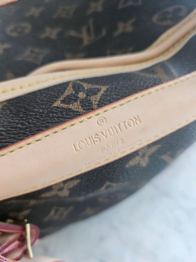 루이비통 강아지 캐리어 이미지