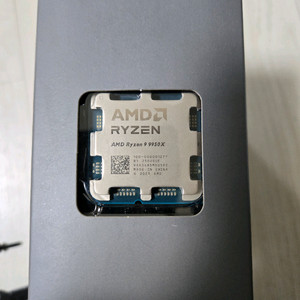 AMD 9950X