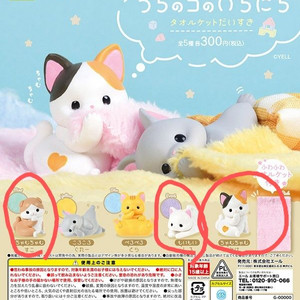 타올 고양이 가챠 (우치노코노이치니치)