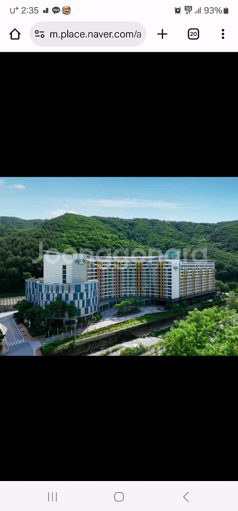 정선메이힐스 오늘숙박권 급처--0
