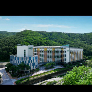 정선메이힐스 오늘숙박권 급처