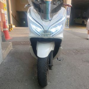 더뉴 pcx125 19년식