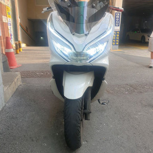 더뉴 pcx125 19년식