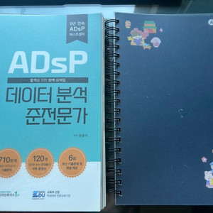 2024 adsp 민트책