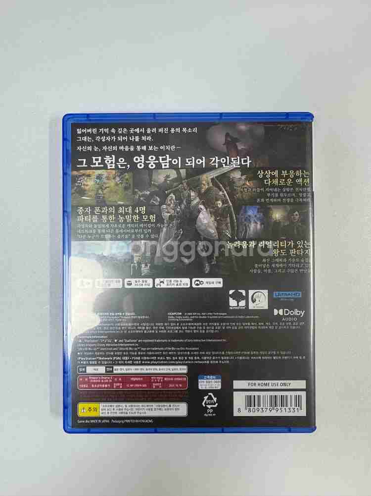 PS5 [드래곤즈 도그마2]--2