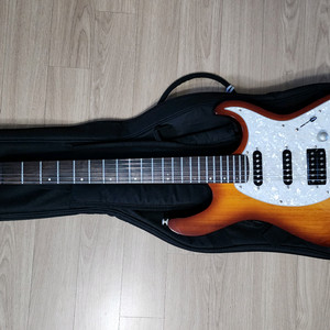 일렉 기타 콜트 G250 CORT
