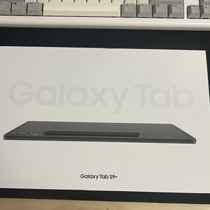 갤럭시탭S 9+ 256g 와이파이 모델 판매