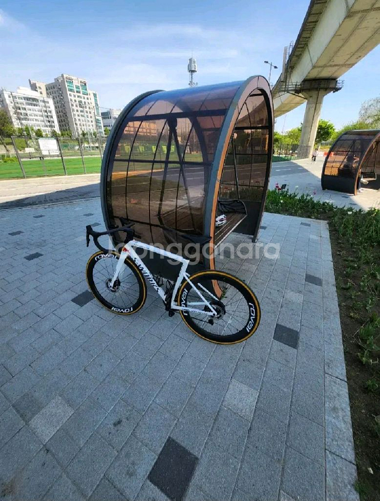 2025년 레드불팀 에스웍sl8 신품급 로드--3