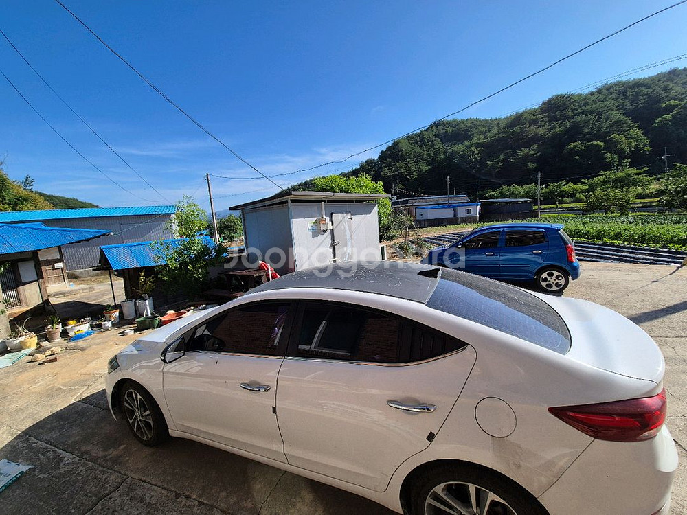 아반떼 ad 디젤 묻따 판매합니다--3