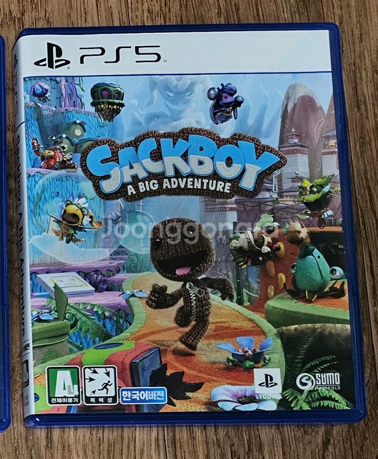 PS5 색보이--0