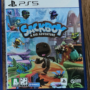 PS5 색보이