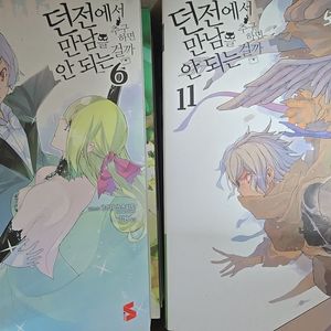 던전에서 만남을 추구하면 안되는걸까 1-11