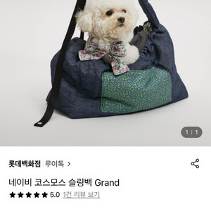 루이독 네이비 코스모스 슬링백 Grand