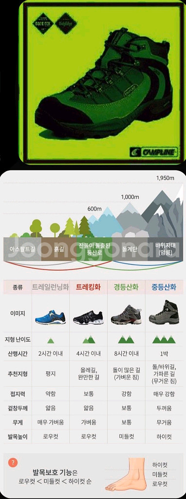캠프라인 고어텍스 경등산화 250(255) 택비포함--1