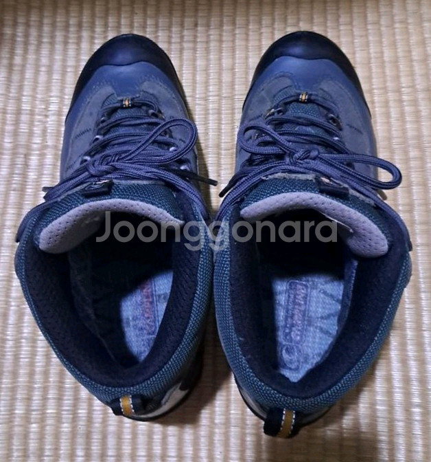 캠프라인 고어텍스 경등산화 250(255) 택비포함--5