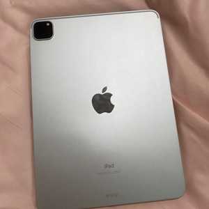 iPad Pro 11인치 2세대 128GB