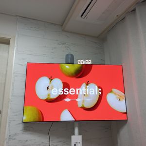 LG전자 OLED65G4KNA evo 올레드TV스탠드형