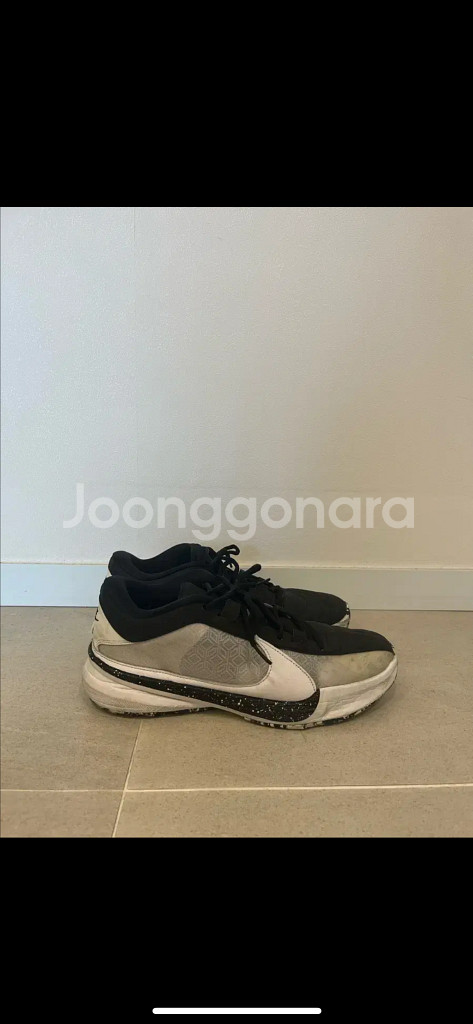 줌프릭5 280--1