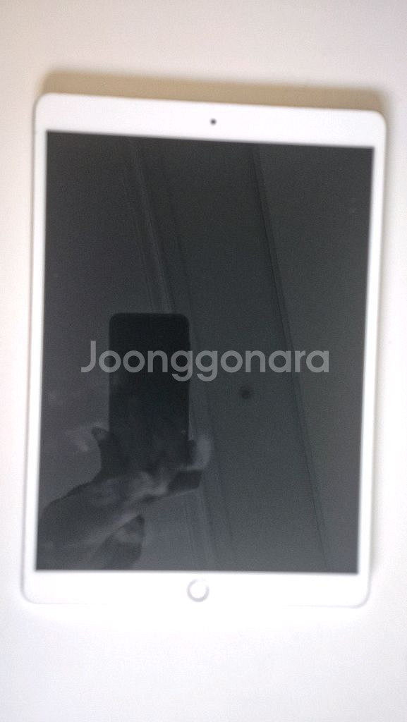 아이패드 에어3 실버 64g--5