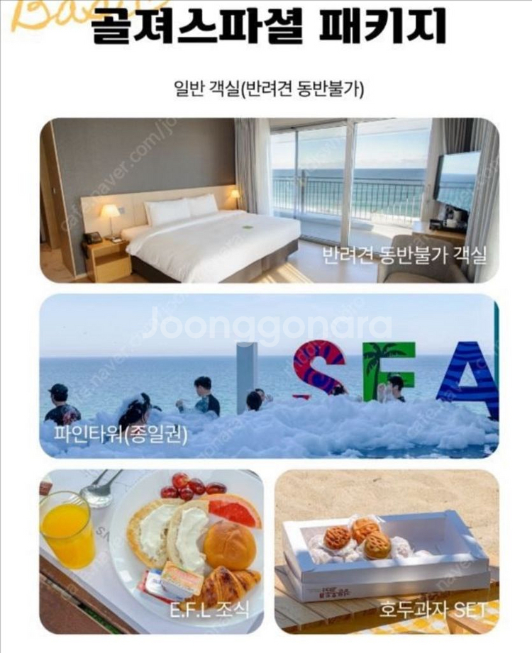 강릉 세인트존스 7월 17일 목요일 골져스파셜수영조식--0