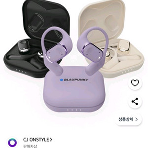 블라우풍트 무선 이어폰 블랙
