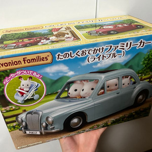 실바니안 라이트블루 자동차