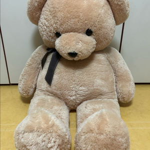 곰돌이 인형