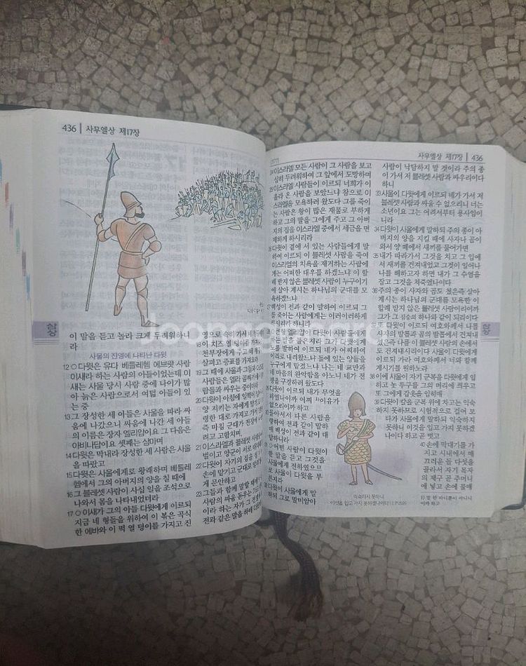 대한성서공회 큰글자 컬러일러스트 개역개정--1