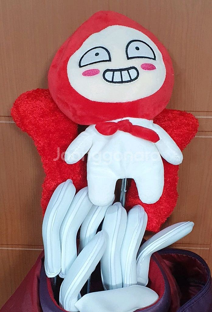 553. 여성용 골프채 세트판매합니다.--1