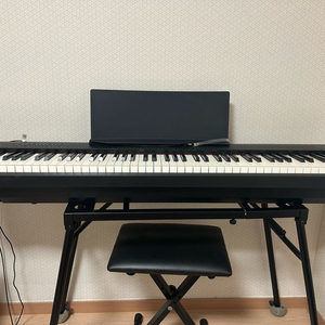 롤랜드 fp30x