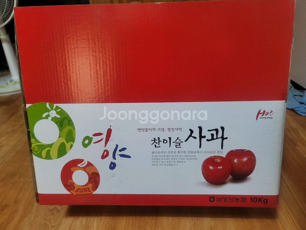 사과 10 KG 난좌박스(새것 반값 판매)--2