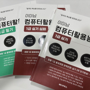 이미남 컴퓨터활용능력1급 필기실기