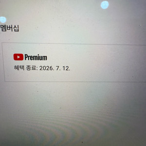 유튜브 프리미엄 개인1년팝니다
