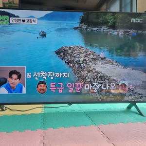 LG 55인치 TV