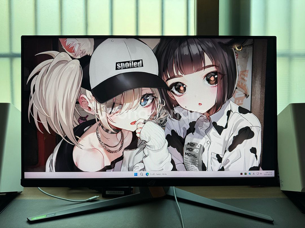 ASUS PG259QNR 360Hz 찐싱크 모니터--0