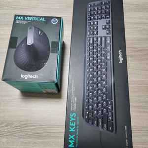 MX KEYS + MX VERTICAL