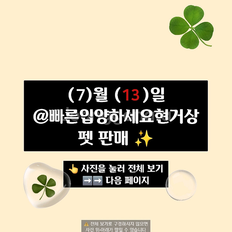 입양하세요 펫 많이 팔아요--0