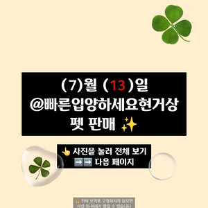 입양하세요 펫 많이 팔아요