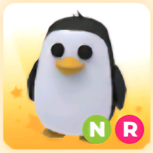입양하세요 NR 펭귄